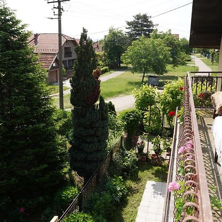 Etnobubi Apartment Novi Sip Exterior photo