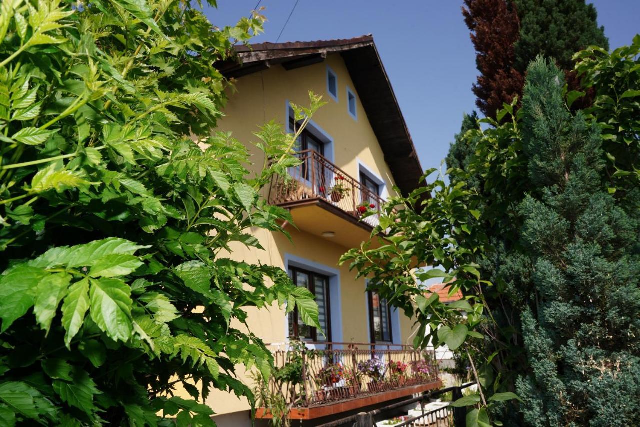 Etnobubi Apartment Novi Sip Exterior photo
