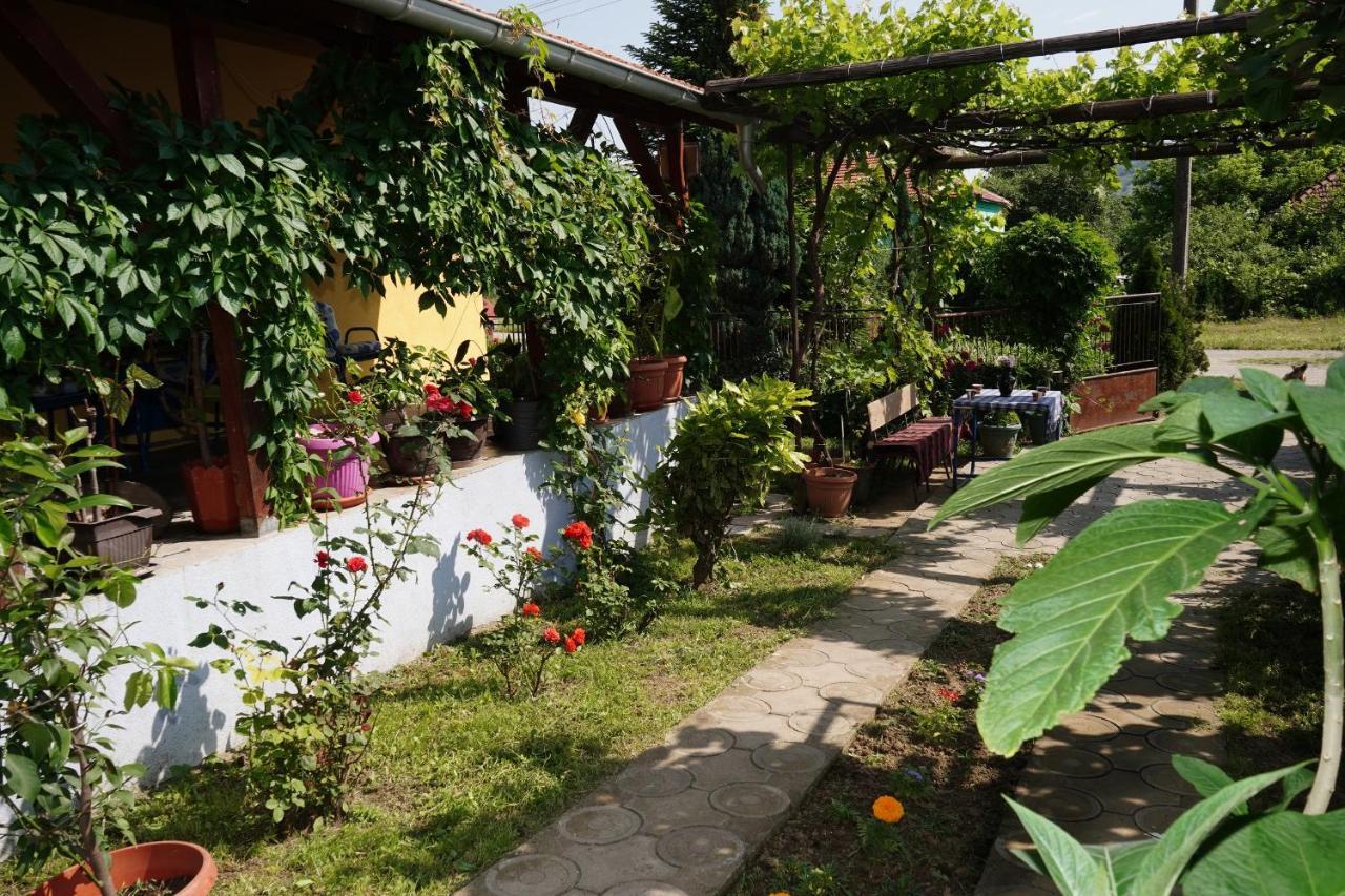 Etnobubi Apartment Novi Sip Exterior photo