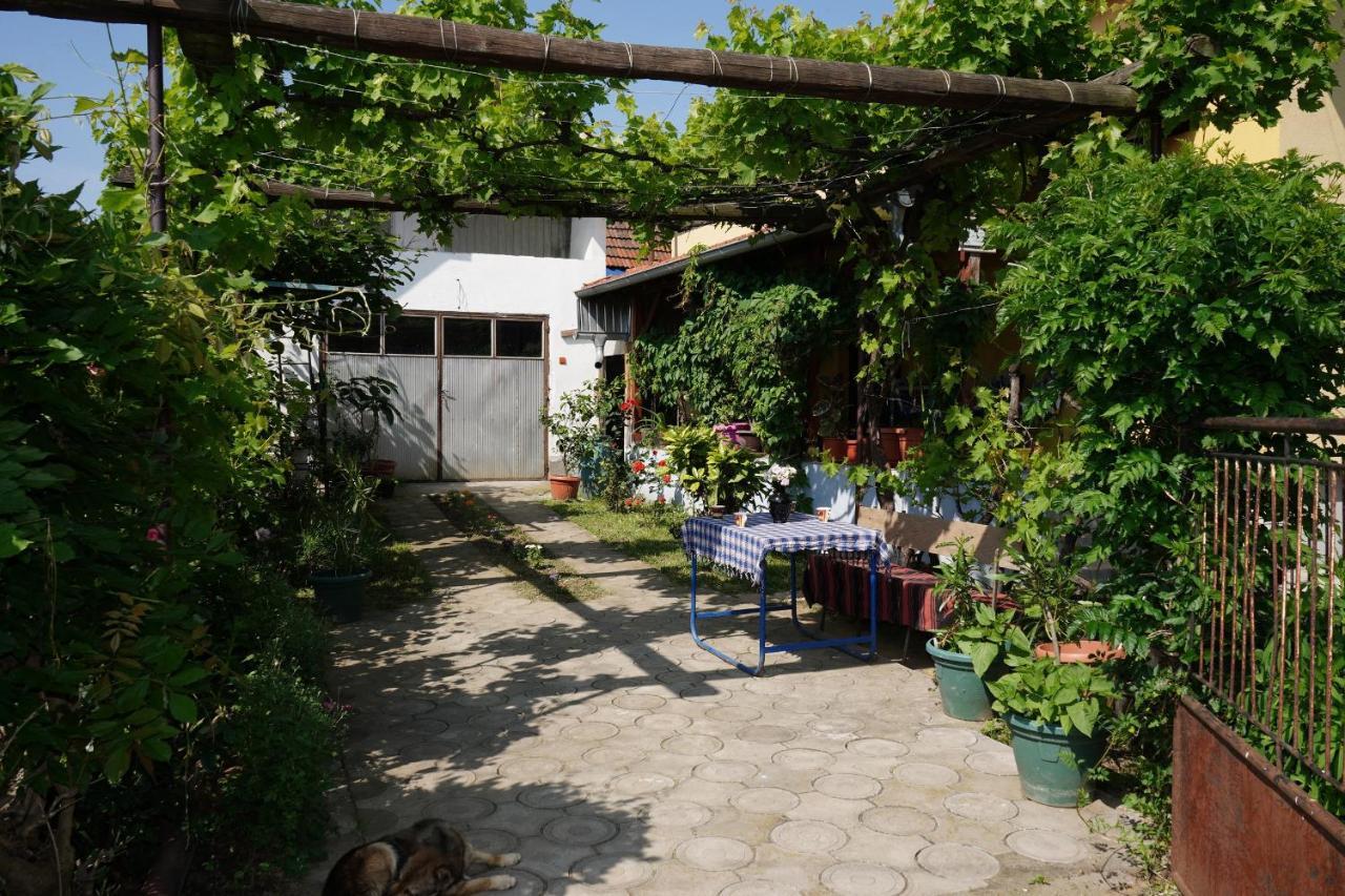 Etnobubi Apartment Novi Sip Exterior photo